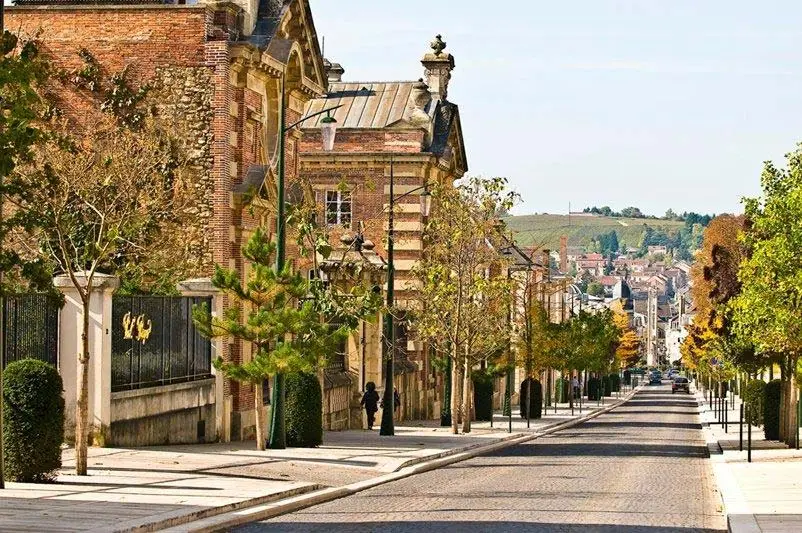 Avenue Champagne tour in france