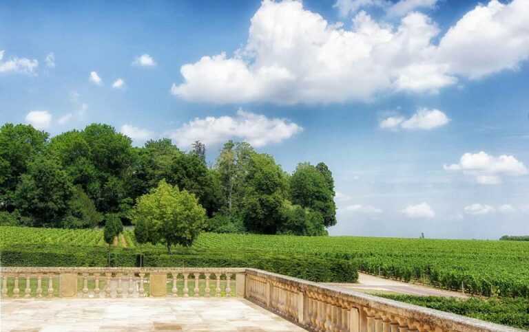 marble plaza looking out over vineyard in Bordeaux