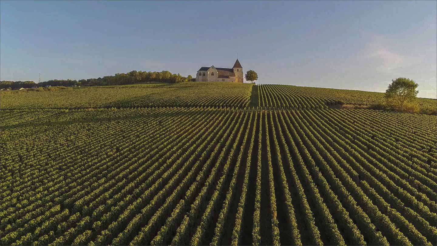 Champagne Field Wine