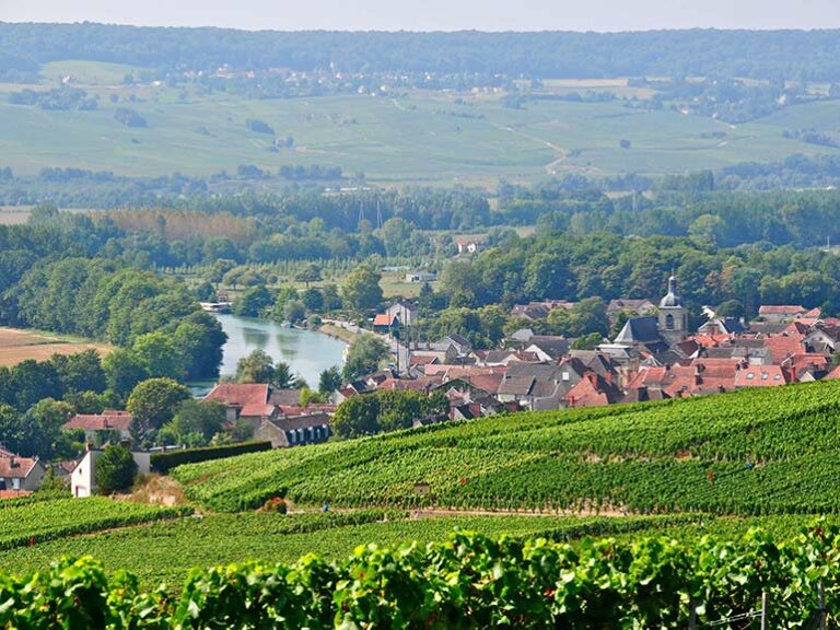 Epernay tour with driver guide