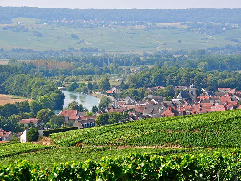 Epernay tour with driver guide