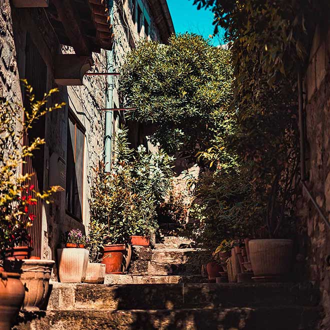 Tour of Provence region.
