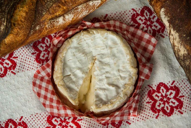 Whole Camembert cheese from Normandy with rustic bread on traditional red and white cloth, representing French culinary tourism