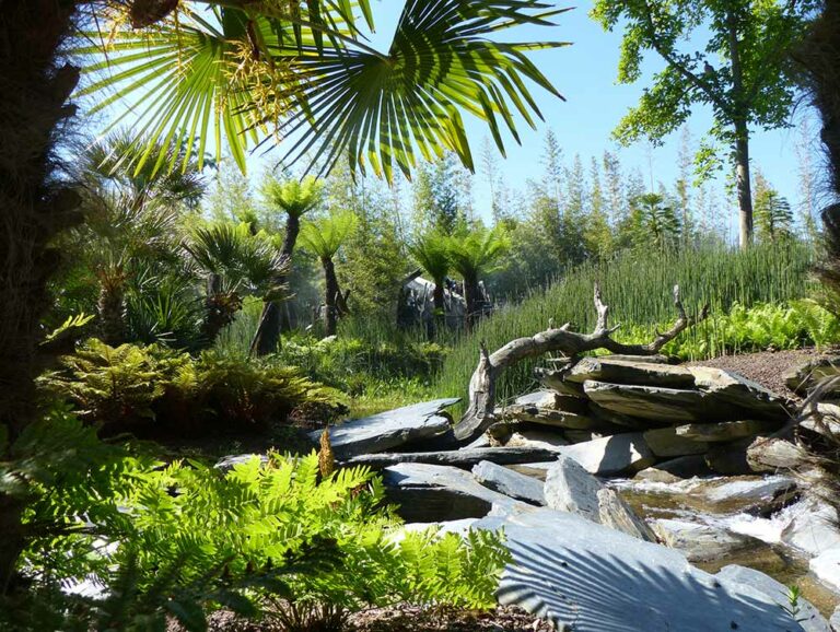 Lush tropical garden at Terra Botanica, France, showcasing diverse exotic plants and tranquil water features under bright sunlight.