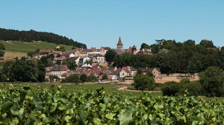 view from a leafy vineyard looking onto small village town in Burgundy wine tour