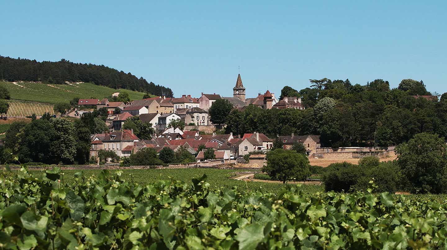 view from a leafy vineyard looking onto small village town in Burgundy wine tour