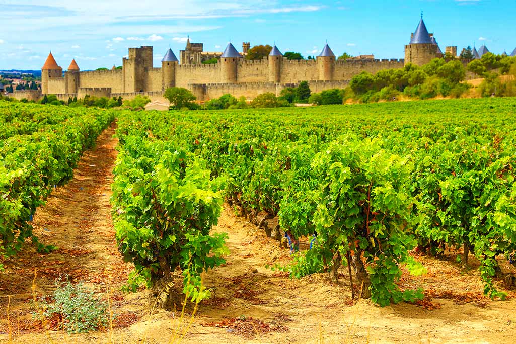 Colourful spires in fortified medieval city of Carcassonne.