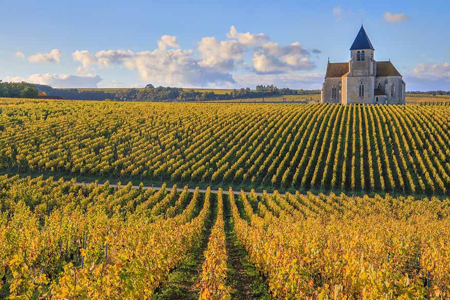 Church of Saint-Claire de Préhy in the Chablis vineyard in Burgundy.