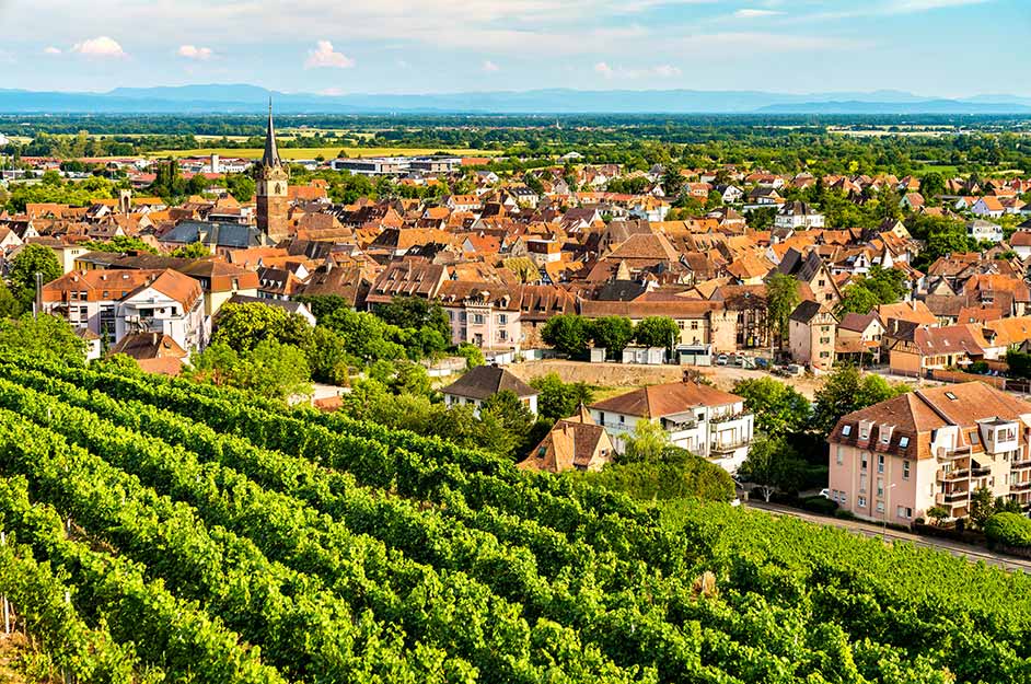 aerial view of Town of Obernai with vineyards in Bas-Rhin
