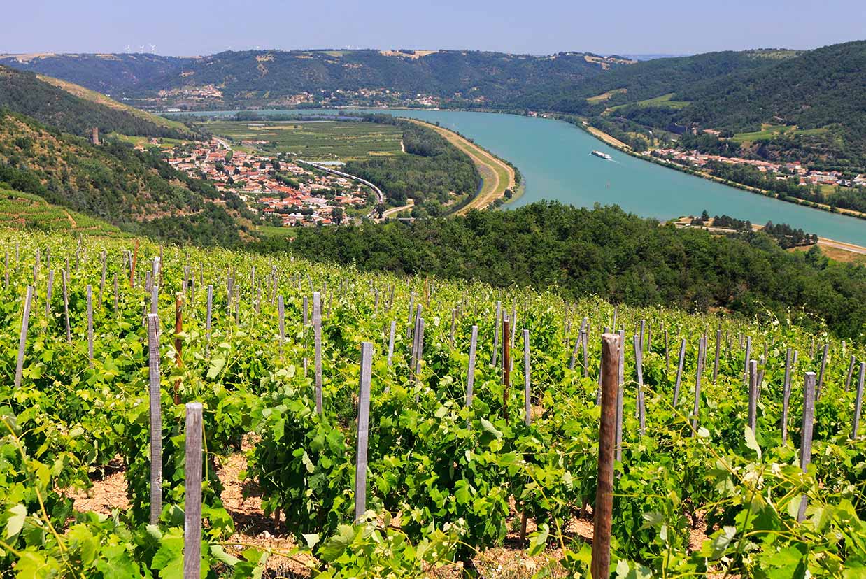 Wine Estate near Lyon, Cotes du Rhone, France on 1 week tour itinerary