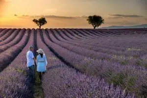 Couple holding hands as they walk in Lavendar Field, France
