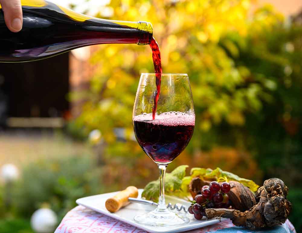 pouring red wine from bottle into the glass close up shot Beaujolais Red Wine, Vineyard, France