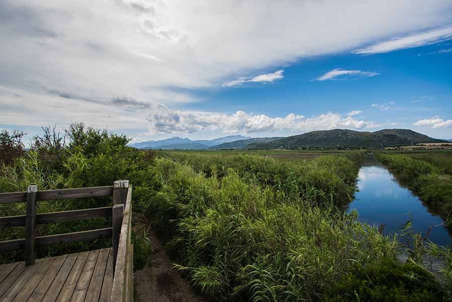 Scenic view of Albufera Natural Park in Spain with a wooden observation deck overlooking lush greenery and a calm waterway under a vibrant blue sky with clouds.